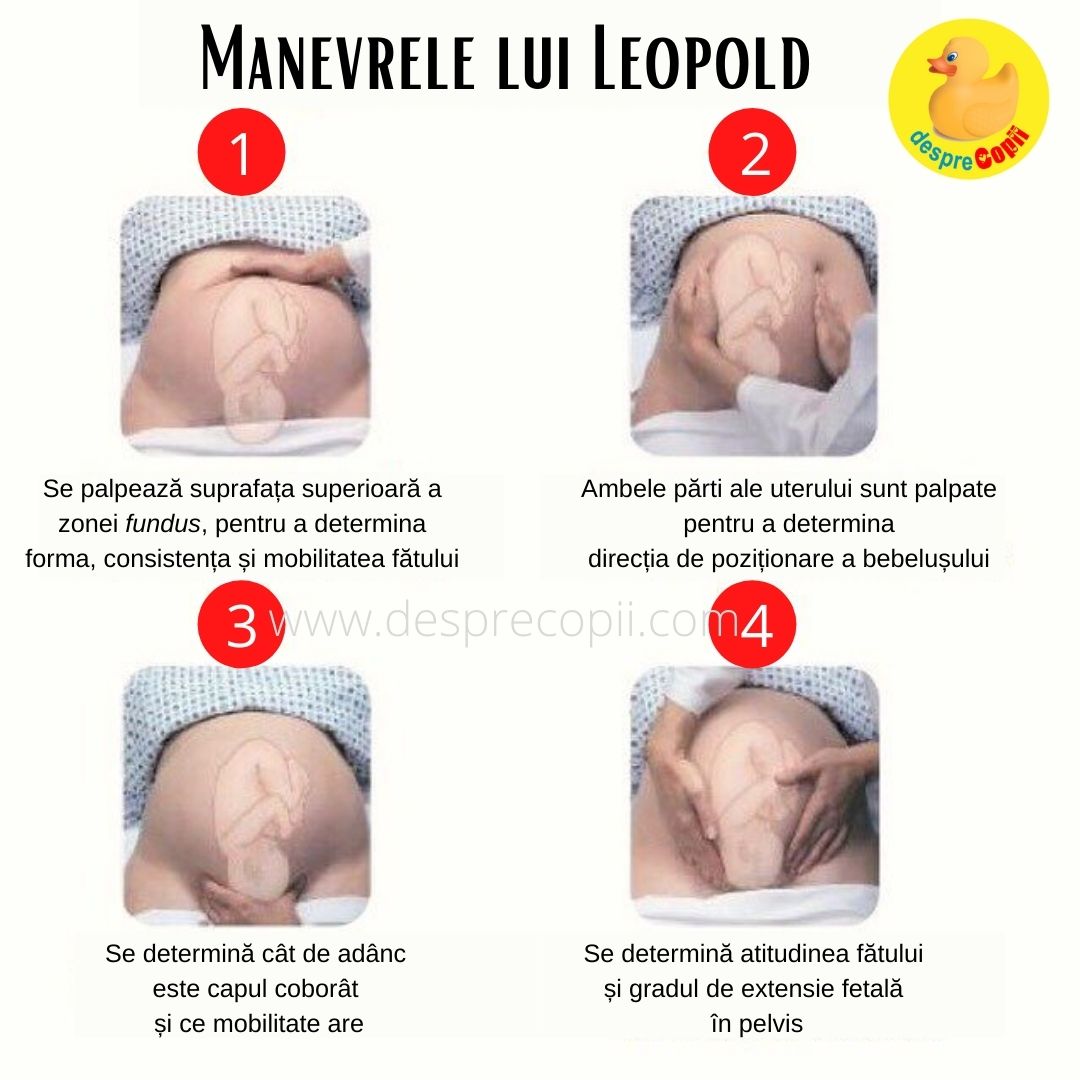 Manevrele lui Leopold 